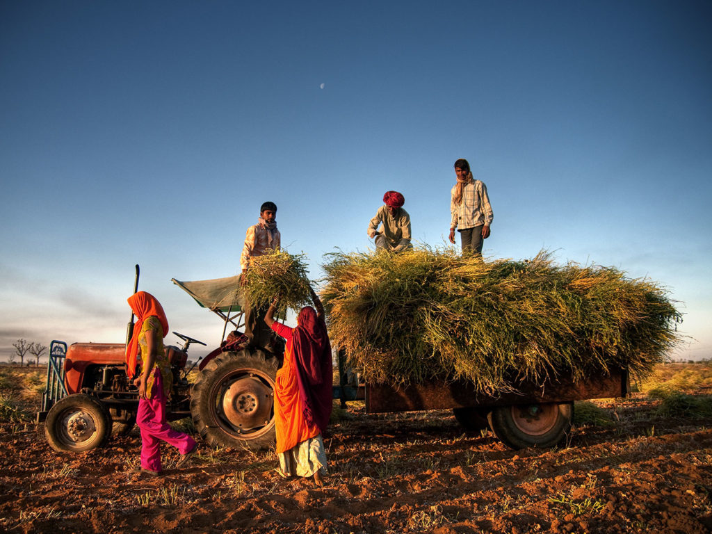 Karnataka Farm Loan Waiver to Set the State Back by Rs. 2,50,00 Crores