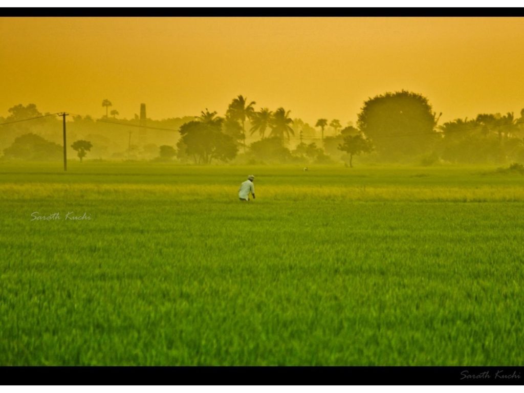 Farm Loans Waiver Not a Permanent Solution: Venkiah Naidu