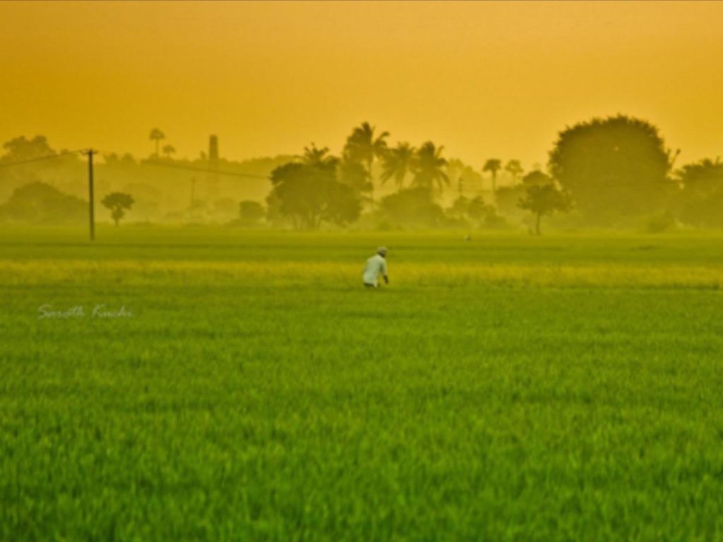 NABARD to Release Rs. 10,000 cr for Punjab