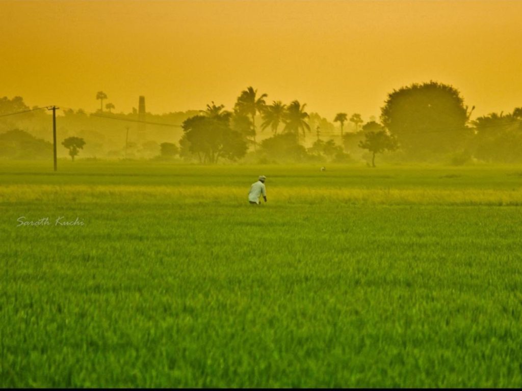 Government Committed to Helping Farmers, Says PM Narendra Modi on MSP Hike