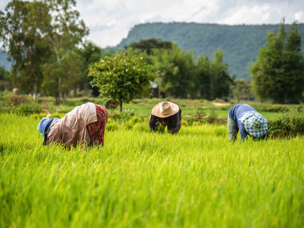 Global Farmers Summit “Krishi Kumbh 2018” to be Hosted by UP Government