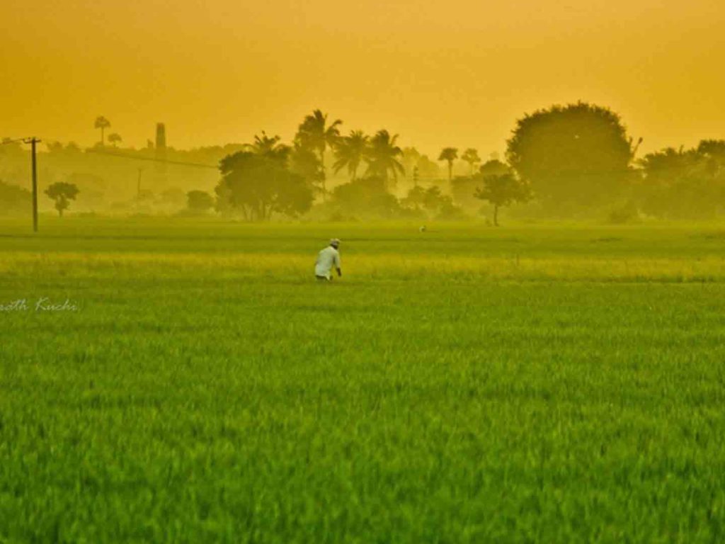 HDFC ERGO Sets up Remote Sensing Lab for Crop Insurance